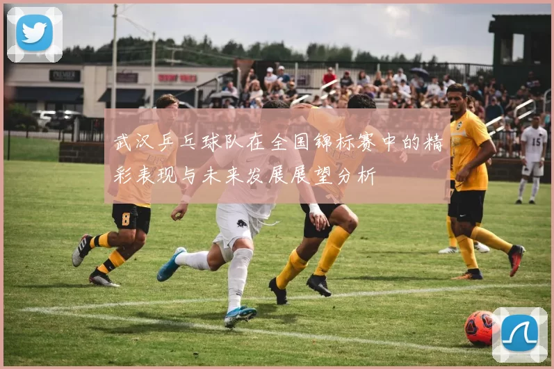 武汉乒乓球队在全国锦标赛中的精彩表现与未来发展展望分析