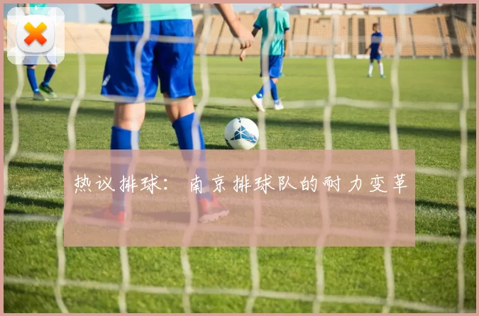 热议排球：南京排球队的耐力变革