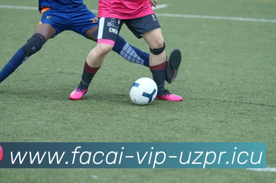 乐鱼体育注册平台生态图