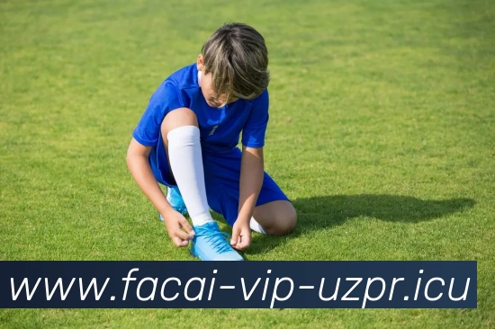 乐鱼体育注册全站App